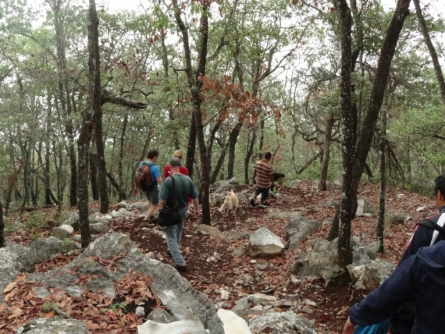 Caminata naturaleza